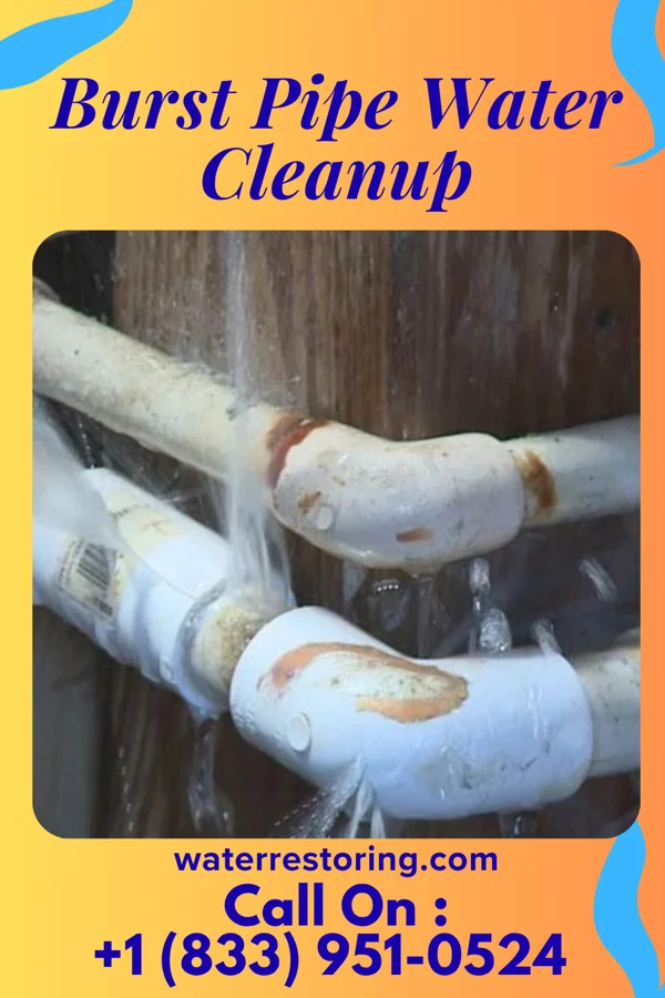 Burst Pipe Water Cleanup in Middleton, ID