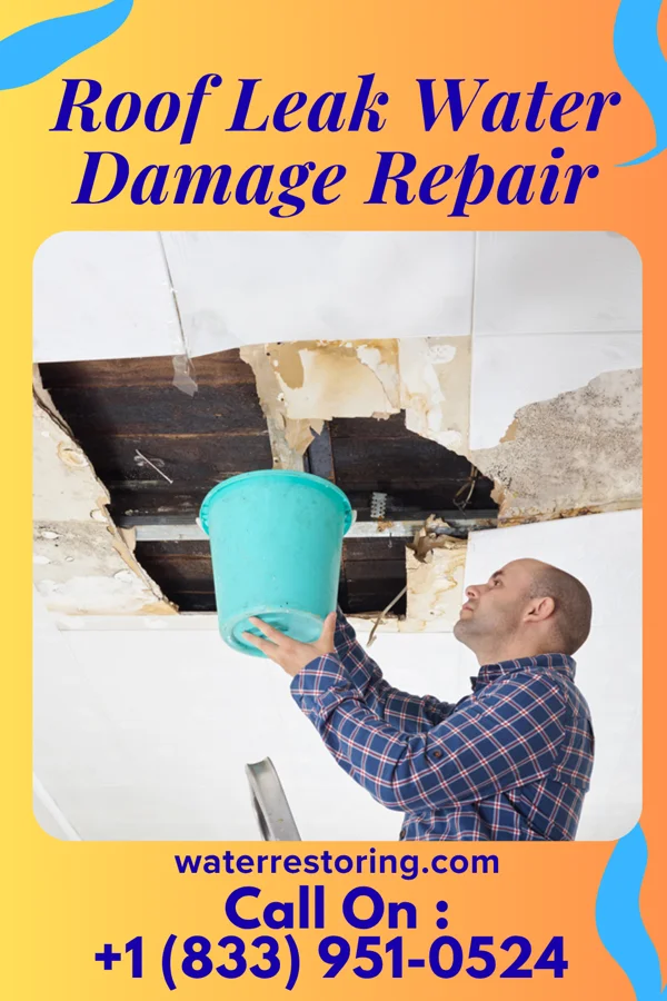 Roof Leak Water Damage Repair in Middleton, ID