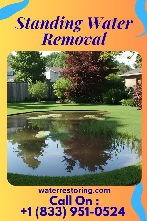 Standing Water Removal in Middleton, ID